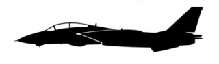 sticker F-14 Tomcat (15cm black)